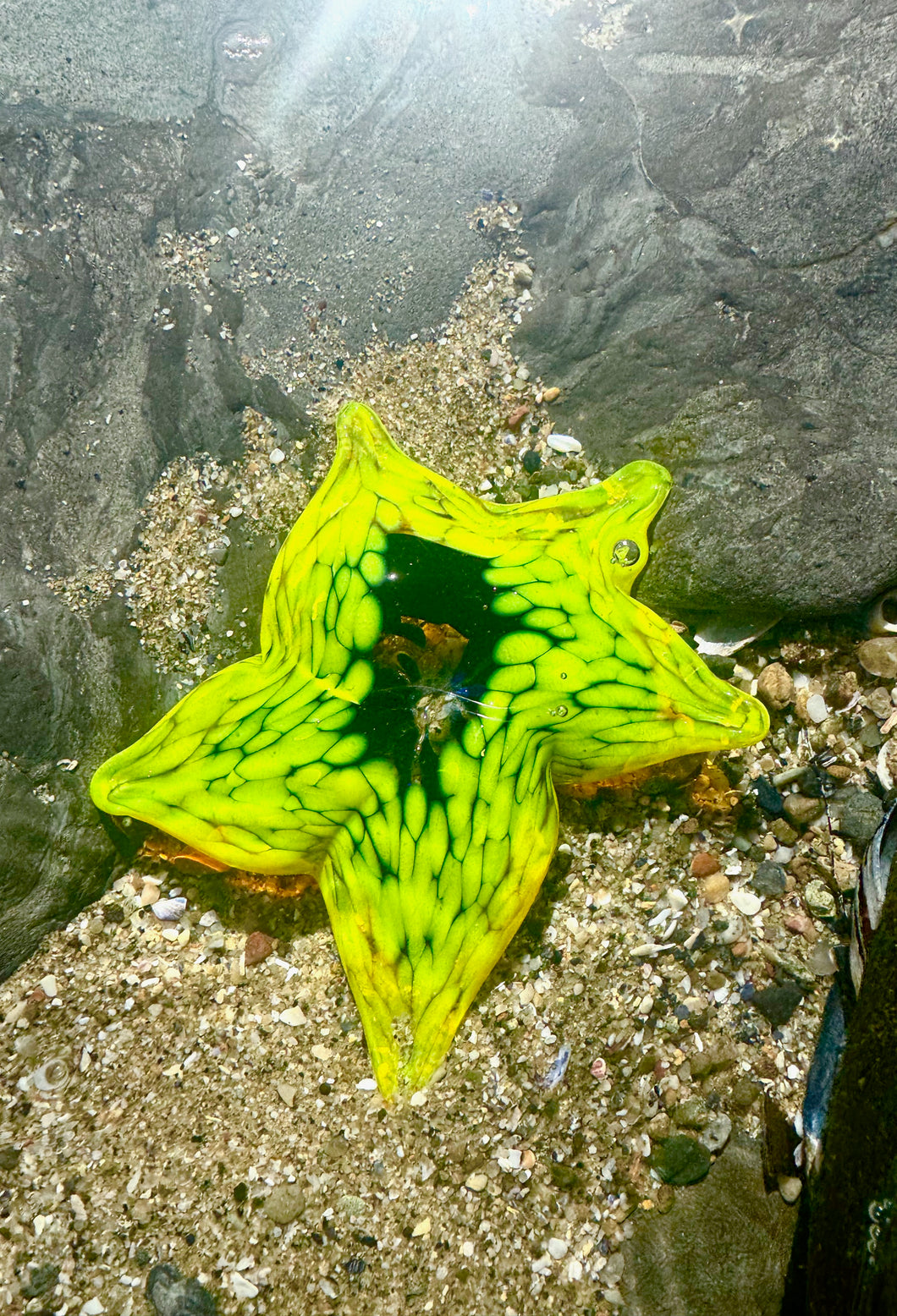 Handcrafted Sea Star Starfish